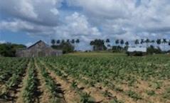 Position memoire Lloga Fernandez